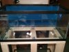 2011-02-13_22.13.09.jpg