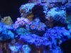 IMG_1287.jpg