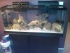 IMG00043-20110213-2213.jpg