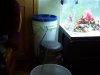 Picture 1097.jpg