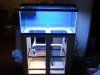 2011-02-16_00.54.35.jpg