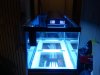 2011-02-16_00.56.38.jpg