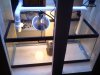 2011-02-16_00.55.38.jpg