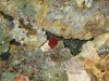 Fish 012.jpg