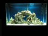 Fishtank004.jpg