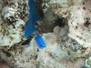 Fishtank069.jpg