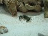 Fishtank078.jpg