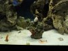 Fishtank061.jpg
