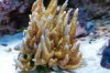 DSC_0586.jpg