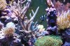 DSC_0577.jpg
