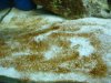 DSC00605.JPG