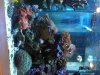 IMG01780-20110218-1832.jpg
