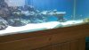 100_0088.jpg