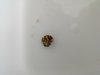 snail.jpg
