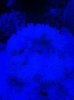 ImageUploadedByTapatalk1298701055.403891.jpg