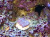 IMG_1287.JPG