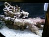 2011-02-27_16.22.28.jpg