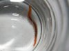 worm4.jpg