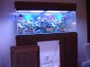 DSC03056.jpg