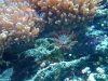 IMG_20110228_203751.jpg