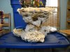 aquascape 005.jpg