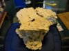 aquascape 006.jpg