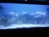 2011-02-23_00.32.59.jpg