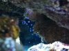 photo (13).JPG