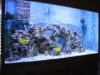 aquaconnect 002.jpg