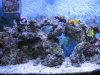 aquaconnect 006.jpg