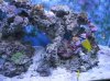 aquaconnect 007.jpg
