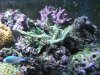 DSCF0475.jpg