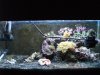 DSCF0478.jpg