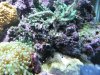 DSCF0481.jpg