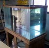 Tank test.jpg