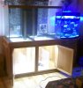 Tank and stand doors open.jpg
