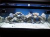 2011-03-12_21.42.53.jpg