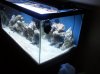 2011-03-12_21.43.27.jpg