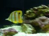 DSCN1261.jpg