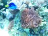 100_8497.jpg