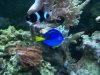 100_8499.jpg