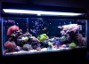 fts1.JPG