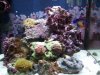 2011-03-18 17.28.35.jpg