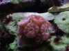 2011-03-18 17.30.30.jpg