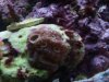 2011-03-18 17.30.47.jpg