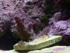 2011-03-18 17.31.23.jpg