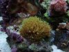 2011-03-18 17.32.19.jpg
