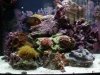 2011-03-18 17.33.17.jpg
