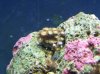 100_2543.jpg