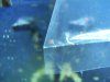 100_2539.jpg